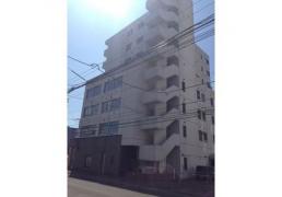 北海道札幌市豊平区平岸二条７丁目 札幌市営地下鉄南北線[平岸]の賃貸マンション物件詳細はこちら