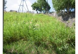 北海道札幌市清田区平岡十条２丁目 札幌市営地下鉄東西線[大谷地]の売買土地物件詳細はこちら