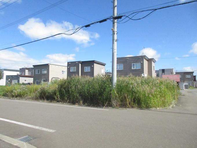 陽当たり良好
