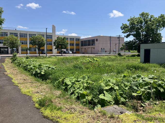 月形小学校が目の前にあります！