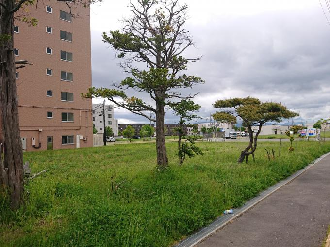 現地写真