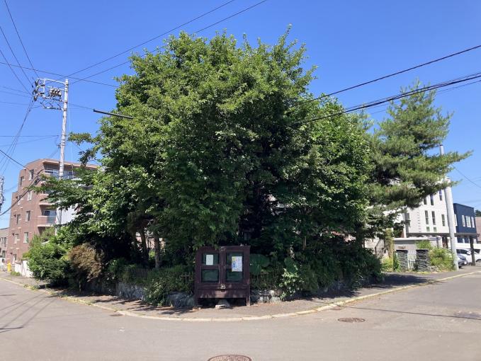 南西側からの景観