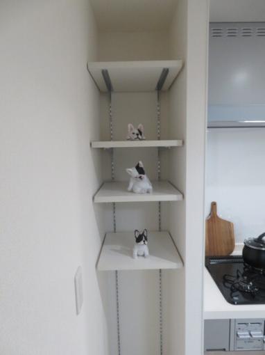 隙間には便利な可動棚あり！
