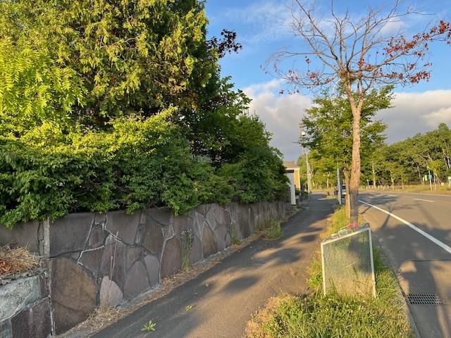 現地 現地