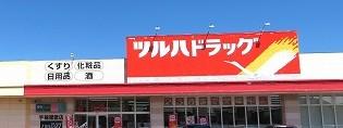ツルハドラッグ南２２条店(徒歩11分)
