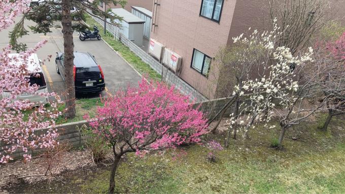 室内からの眺望。敷地内の木々 室内からの眺望。敷地内の木々