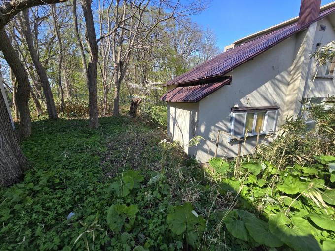 【現地】 円山の豊かな緑に抱かれた、250坪超の開放感