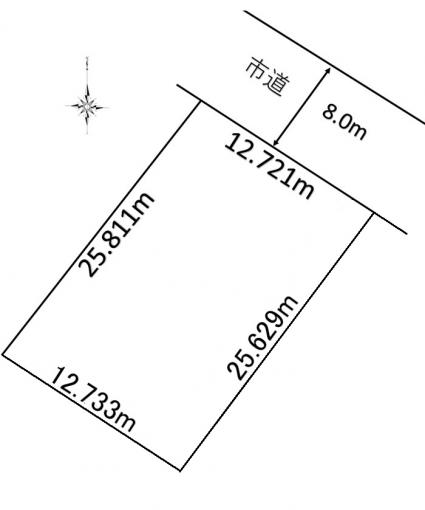 地形図 地形図