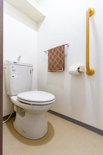 トイレにも手すりを設置しています トイレにも手すりを設置しています