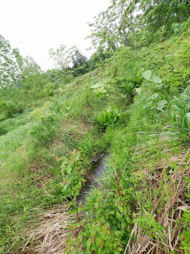建物裏には小川があり、ここの水を引き込んでいたとの事 建物裏には小川があり、ここの水を引き込んでいたとの事