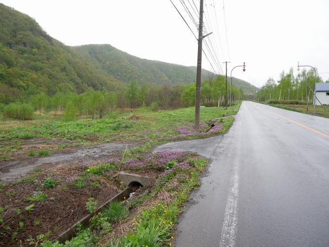 国道から敷地へはこの様に進入可能です。