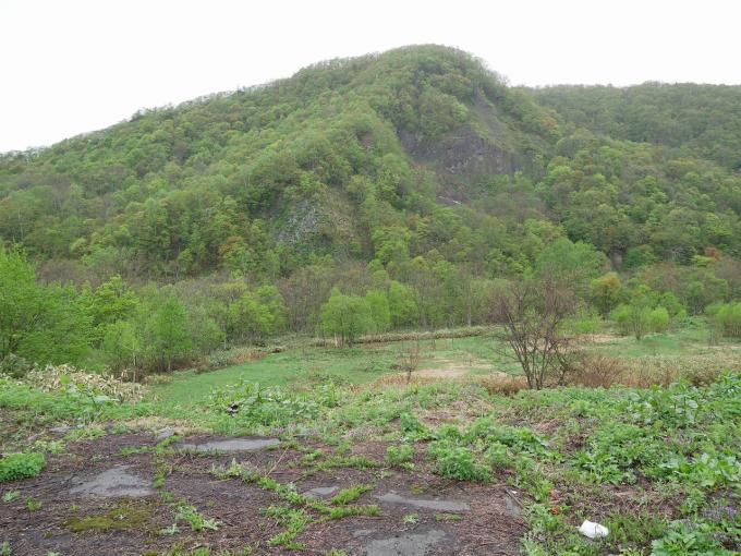 8年前の画像です。国道から西側の土地です。