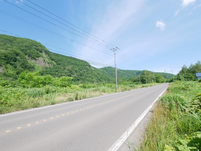 両サイドの土地が売却対象になります。