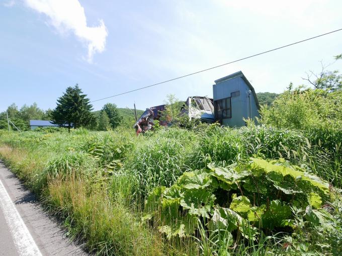 草が生い茂っておりますが、平坦な地型です。