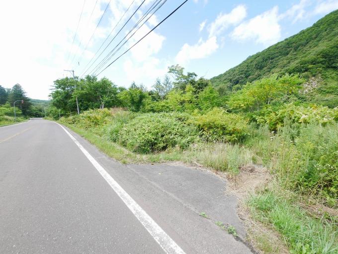 現在の画像です。草の丈が長く、状況の確認が難しい。