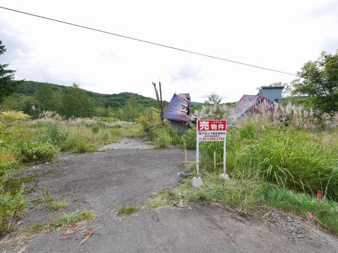 山部分は含まれません。その手前側の平坦に見える敷地です。