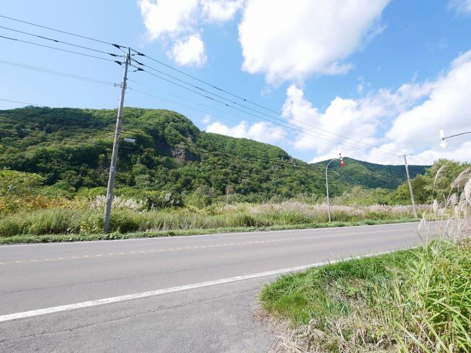 両サイドの土地が売却対象になります。