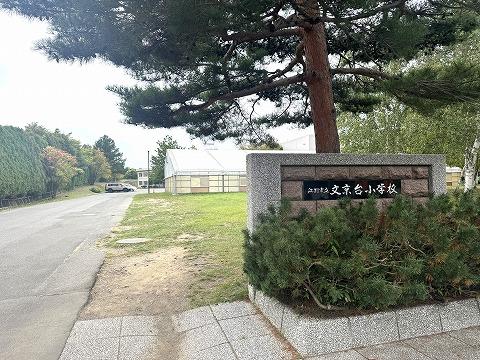 文京台小学校(徒歩7分)