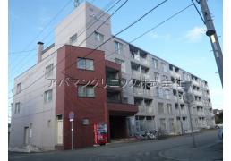 北海道札幌市豊平区平岸六条１３丁目 札幌市営地下鉄南北線[南平岸]の賃貸マンション物件詳細はこちら